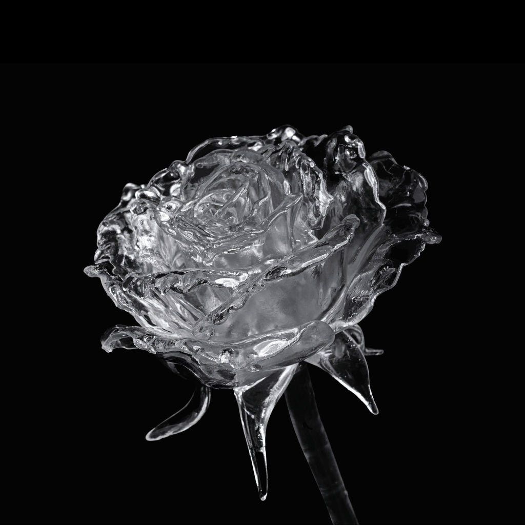 ดอกกุหลาบโปร่งแสงพิมพ์จาก Inslogic Clear Resin เรซินใส