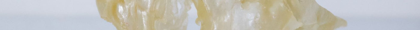 ชิ้นงานเรซิ่นโปร่งแสงรูปกะโหลกที่พิมพ์ด้วยเครื่องพิมพ์ 3D Resin