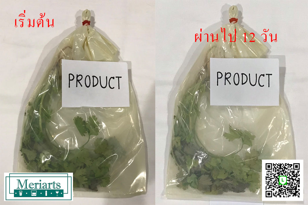 วิธีเก็บผักชี ต้นหอม อย่างไรให้อยู่ได้นาน 2 สัปดาห์!