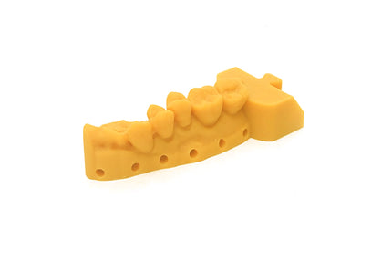 GM100 Gingiva Mask Resin eSUN