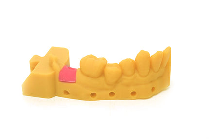 GM100 Gingiva Mask Resin eSUN