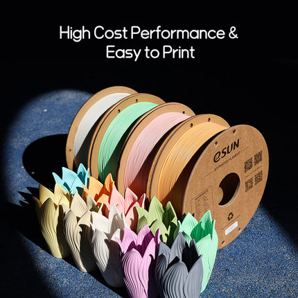PETG Matte eSUN Filament for 3D Printing