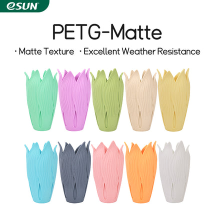 PETG Matte eSUN Filament for 3D Printing