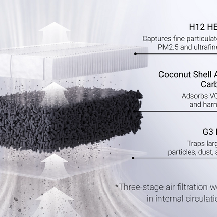 แผ่นกรอง G3 ถ่านกัมมันต์ และ HEPA H12