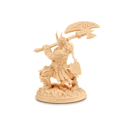 Standard Resin V2 Anycubic