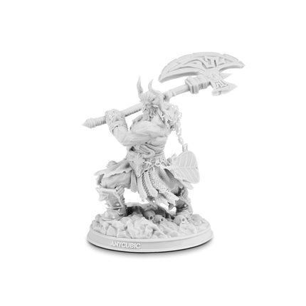 Standard Resin V2 Anycubic